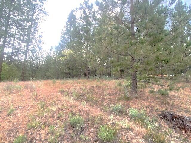 1390 Lookout Point Way, Kettle Falls, WA 99141 - photo 10