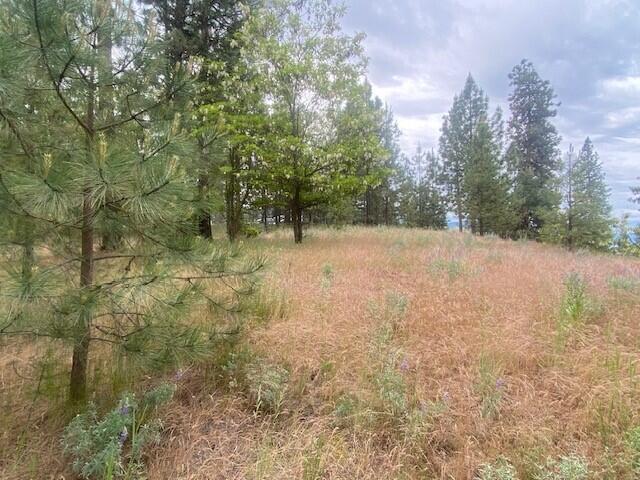 1390 Lookout Point Way, Kettle Falls, WA 99141 - photo 16