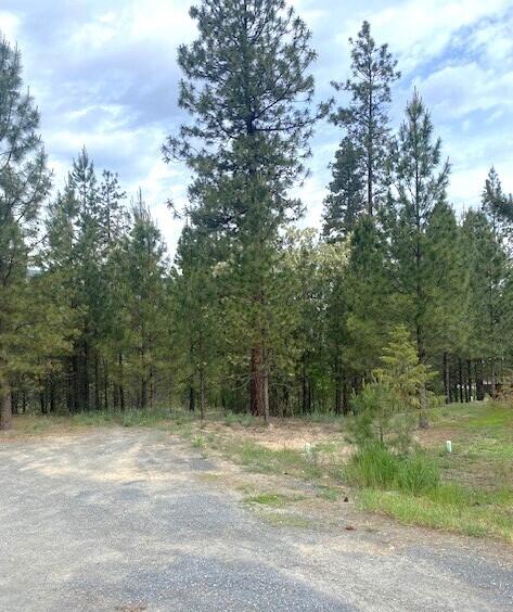 1390 Lookout Point Way, Kettle Falls, WA 99141 - photo 2