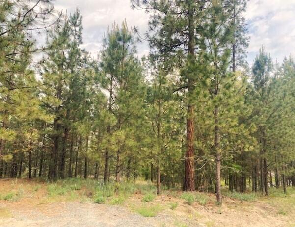 1390 Lookout Point Way, Kettle Falls, WA 99141 - photo 4