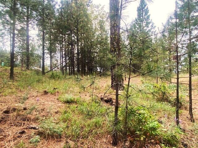 1390 Lookout Point Way, Kettle Falls, WA 99141 - photo 14