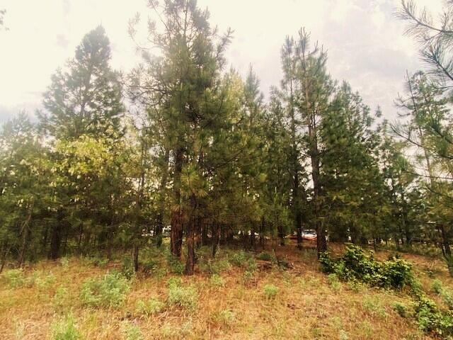 1390 Lookout Point Way, Kettle Falls, WA 99141 - photo 12