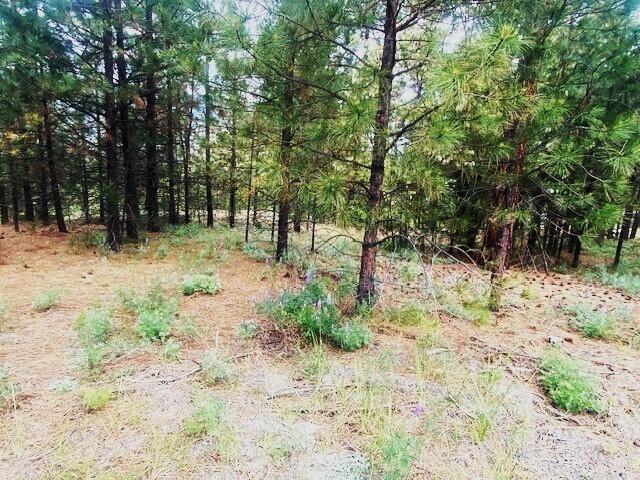 1390 Lookout Point Way, Kettle Falls, WA 99141 - photo 19