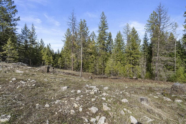 212 Pine Hill Rd, Newport, WA 99156 - photo 33