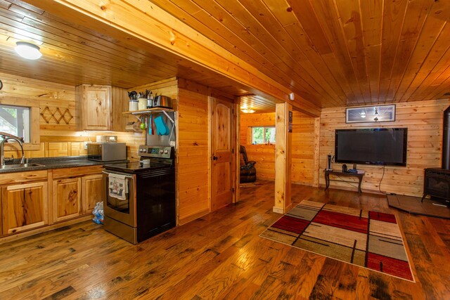 kitchen with sink, a wood stove, wood walls, and stainless steel electric range oven