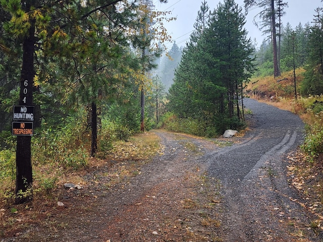 view of road