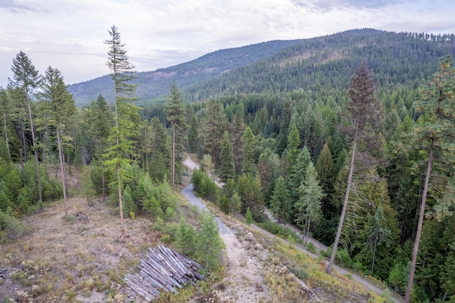 property view of mountains