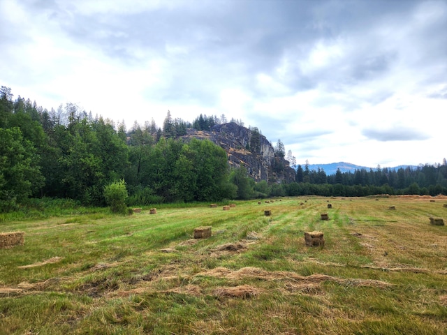 1041 Aeneas Valley Rd, Tonasket WA, 98855 land for sale