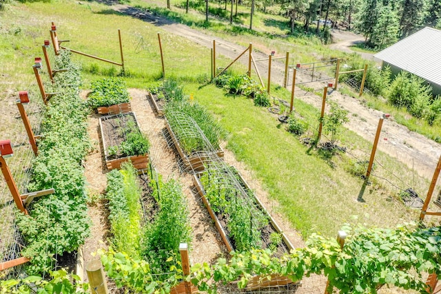 view of yard with fence and a garden