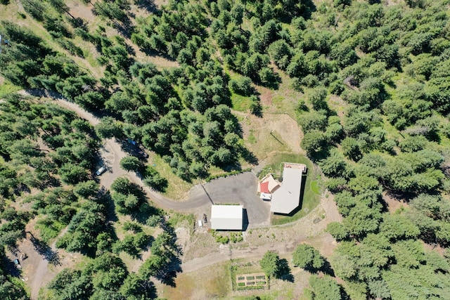 drone / aerial view