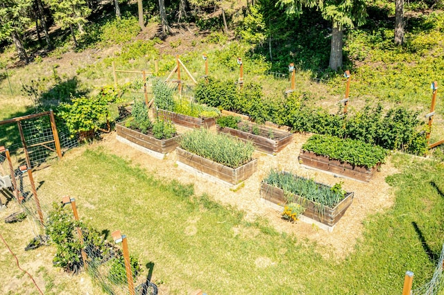 view of yard featuring a garden