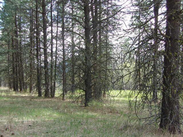 X12X Hoag Rd, Valley, WA 99181 - photo 23
