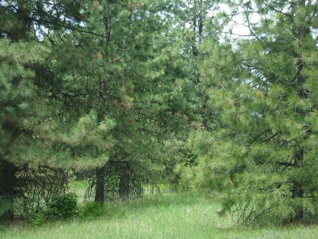X12X Hoag Rd, Valley, WA 99181 - photo 10