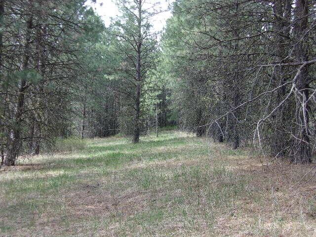 X12X Hoag Rd, Valley, WA 99181 - photo 24