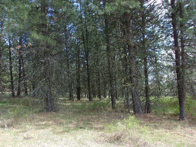 X12X Hoag Rd, Valley, WA 99181 - photo 26