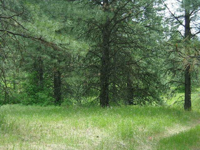 X12X Hoag Rd, Valley, WA 99181 - photo 9
