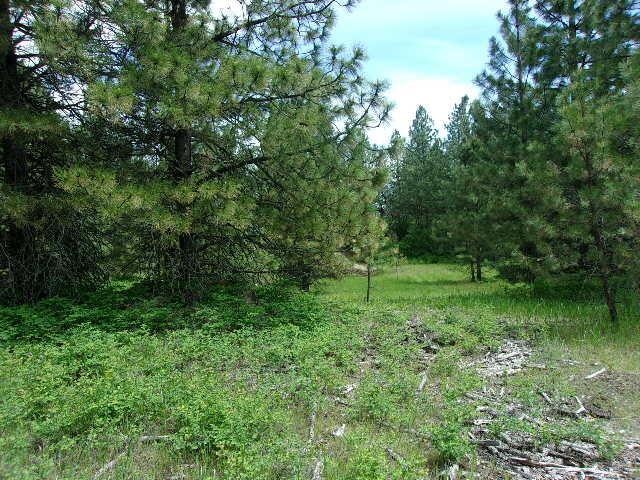 X12X Hoag Rd, Valley, WA 99181 - photo 4