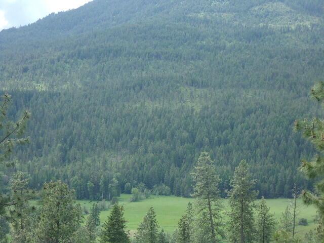 X12X Hoag Rd, Valley, WA 99181 - photo 15