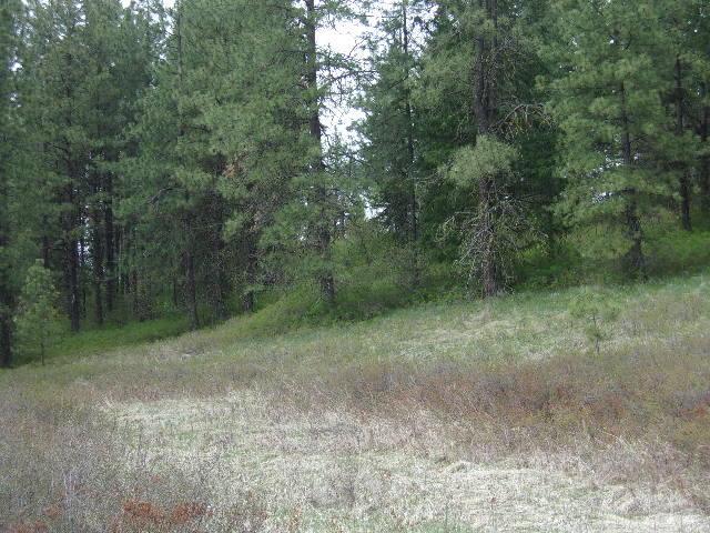 X12X Hoag Rd, Valley, WA 99181 - photo 22