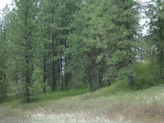 X12X Hoag Rd, Valley, WA 99181 - photo 17