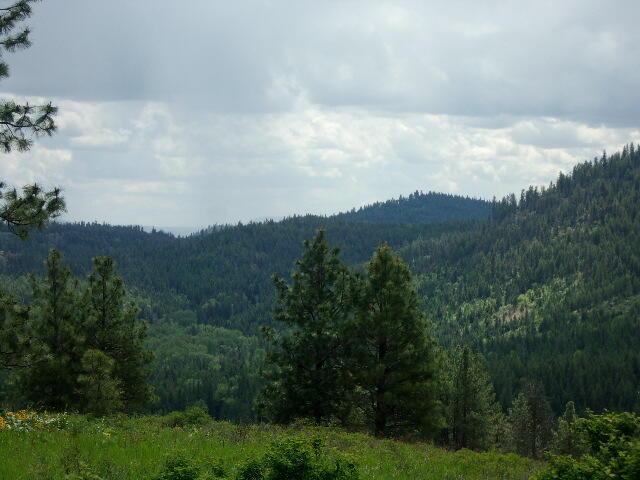 X12X Hoag Rd, Valley, WA 99181 - photo 14