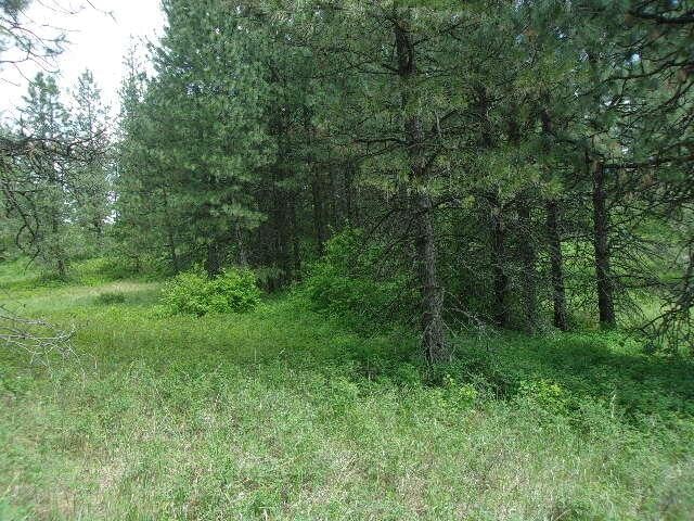 X12X Hoag Rd, Valley, WA 99181 - photo 3