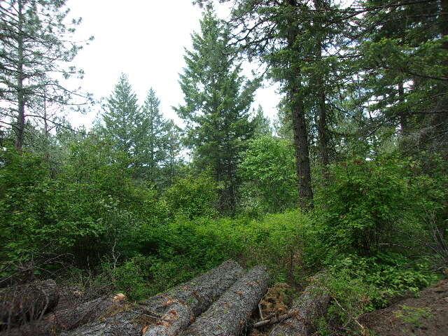 X12X Hoag Rd, Valley, WA 99181 - photo 8