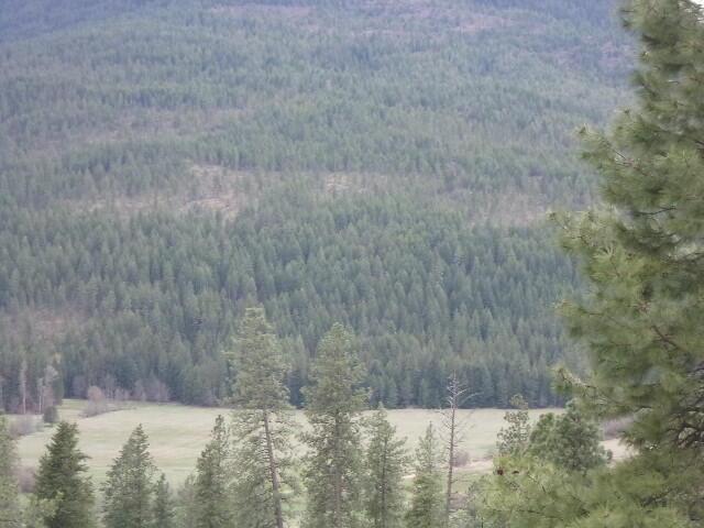 X12X Hoag Rd, Valley, WA 99181 - photo 20