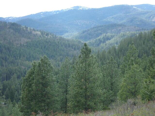 X12X Hoag Rd, Valley, WA 99181 - photo 18