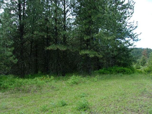 X12X Hoag Rd, Valley, WA 99181 - photo 6