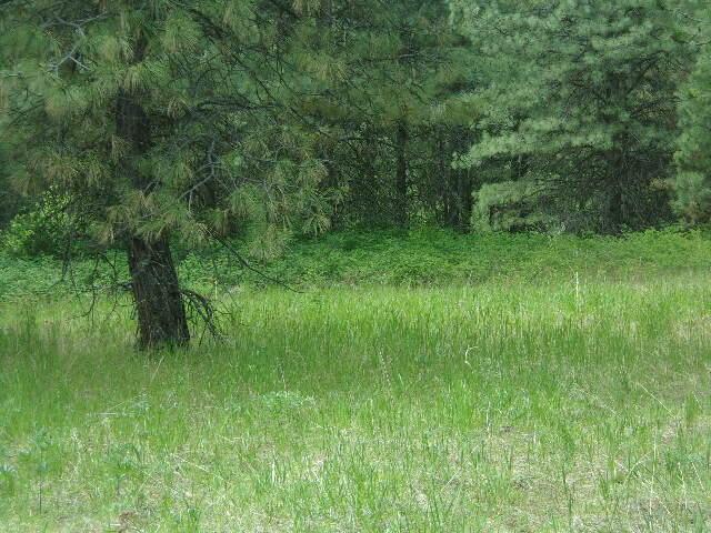 X12X Hoag Rd, Valley, WA 99181 - photo 7