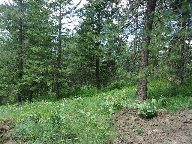 X12X Hoag Rd, Valley, WA 99181 - photo 2