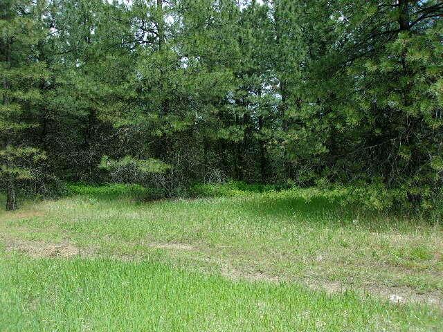 X12X Hoag Rd, Valley, WA 99181 - photo 5
