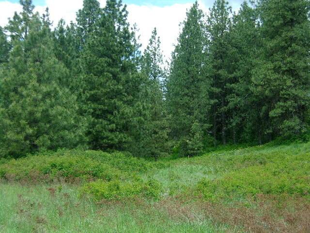 X12X Hoag Rd, Valley, WA 99181 - photo 16
