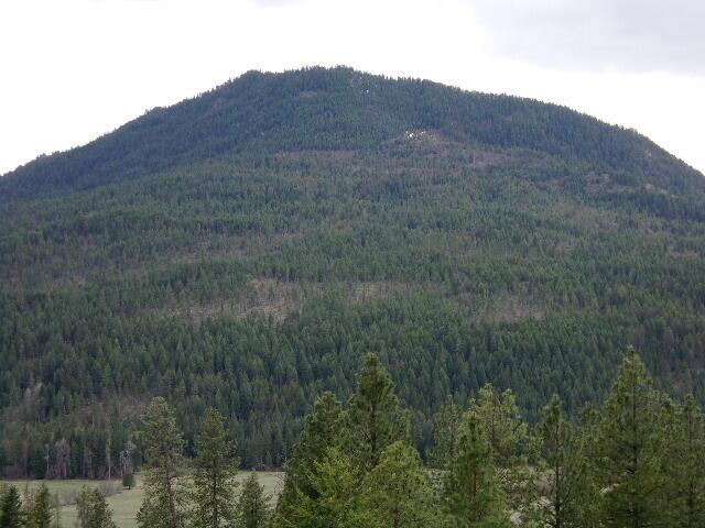 X12X Hoag Rd, Valley, WA 99181 - photo 21