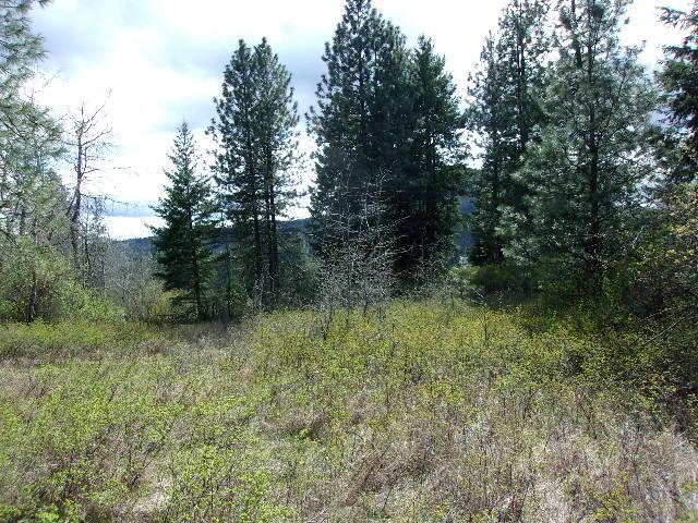 X12X Hoag Rd, Valley, WA 99181 - photo 25