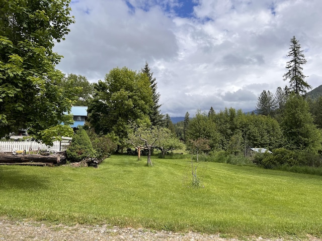 3901 Cedar Creek Rd, Colville, WA 99114 - view of yard
