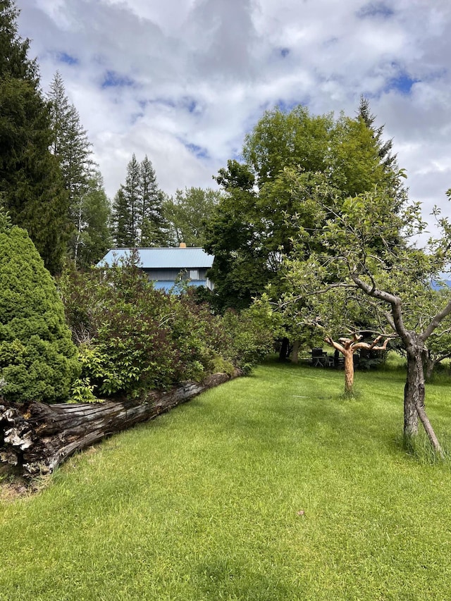 3901 Cedar Creek Rd, Colville, WA 99114 - view of grassy yard