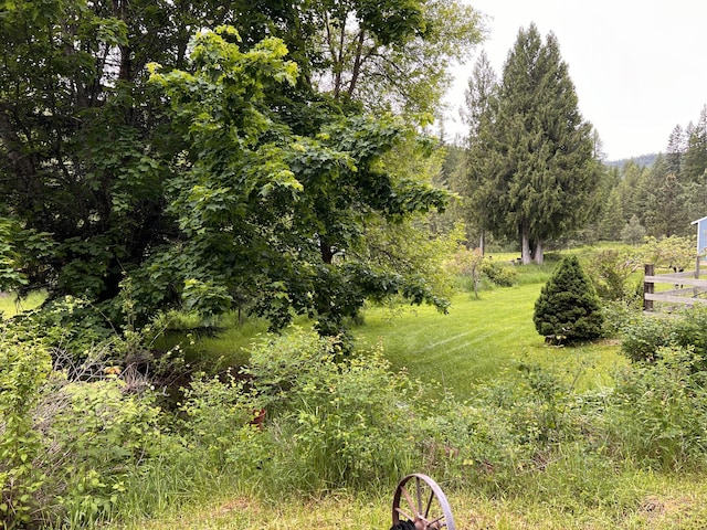 3901 Cedar Creek Rd, Colville, WA 99114 - view of local wilderness