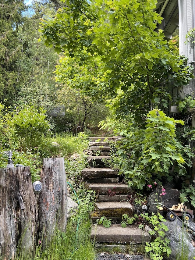 3901 Cedar Creek Rd, Colville, WA 99114 - view of yard