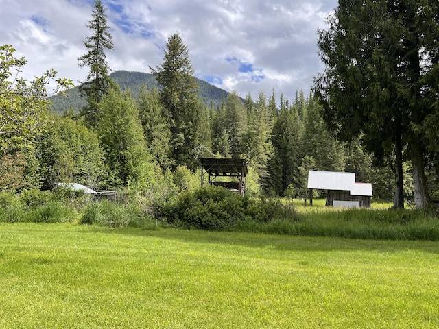 3901 Cedar Creek Rd, Colville, WA 99114 - view of grassy yard featuring a mountain view and a view of trees