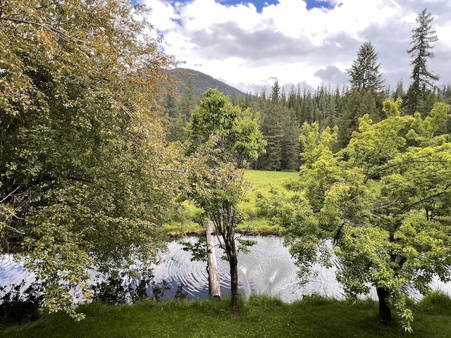 3901 Cedar Creek Rd, Colville, WA 99114 - water view featuring a forest and mountains