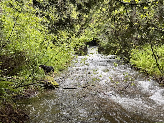 3901 Cedar Creek Rd, Colville, WA 99114 - view of nature