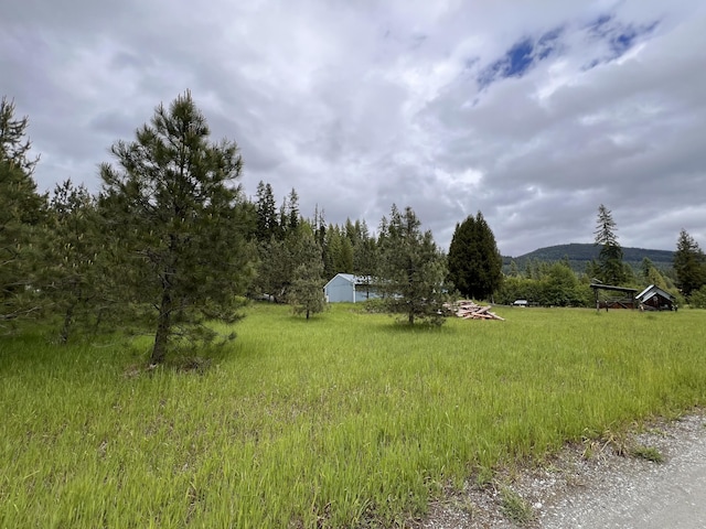 3901 Cedar Creek Rd, Colville, WA 99114 - view of yard with an outdoor structure and a mountain view