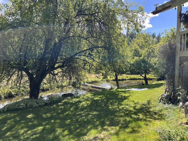 3901 Cedar Creek Rd, Colville, WA 99114 - view of green lawn featuring a water view