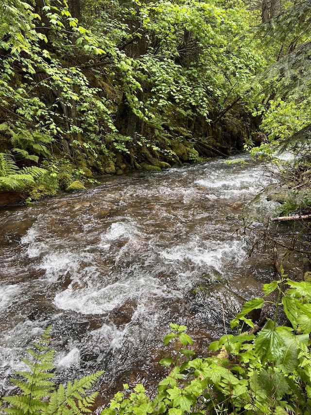 3901 Cedar Creek Rd, Colville, WA 99114 - view of local wilderness