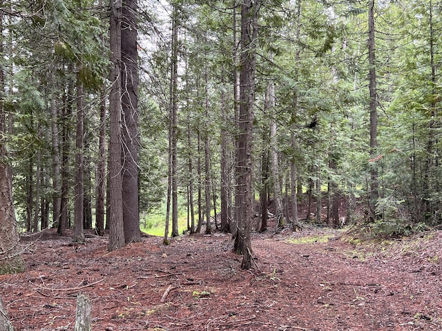 3901 Cedar Creek Rd, Colville, WA 99114 - view of wooded area