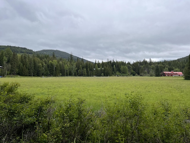 3901 Cedar Creek Rd, Colville, WA 99114 - mountain view featuring a heavily wooded area and rural landscape