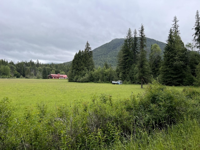 3901 Cedar Creek Rd, Colville, WA 99114 - view of mountain background featuring a forest and rural landscape