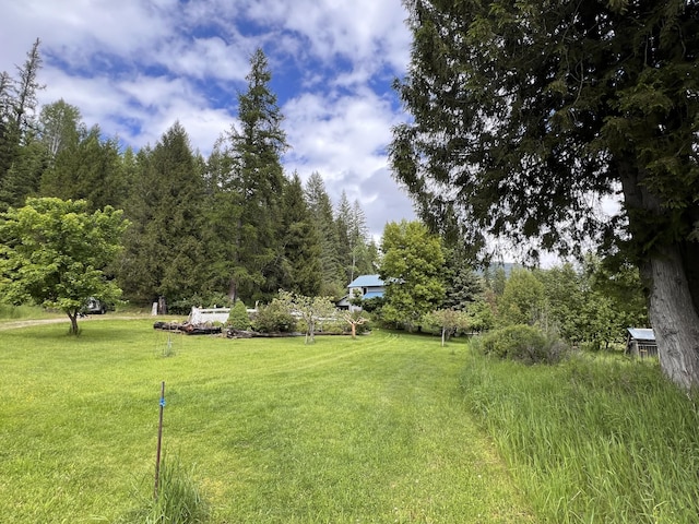 3901 Cedar Creek Rd, Colville, WA 99114 - view of green lawn